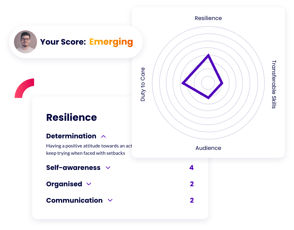 Skills360 Radar Diagrams